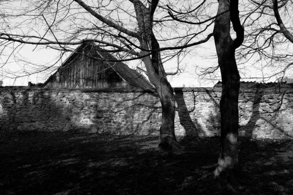 Kışın eski ahşap çitler