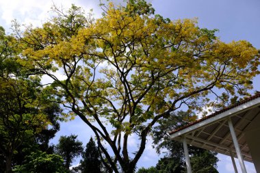 Doğanın güzel manzarası