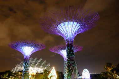 Singapur 'daki körfezin yanındaki bahçede bir süperağaç..