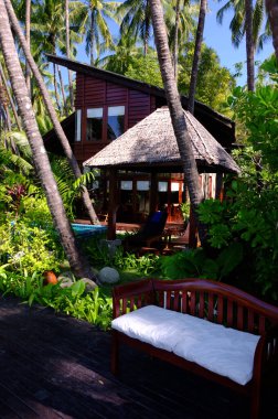 Palmiye yaprakları ve mavi gökyüzü ile tropik ada, miyanmar