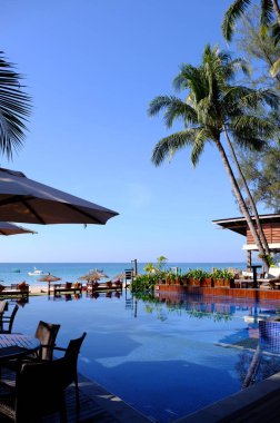 Palmiye ağacı ve denizi olan güzel bir sahil