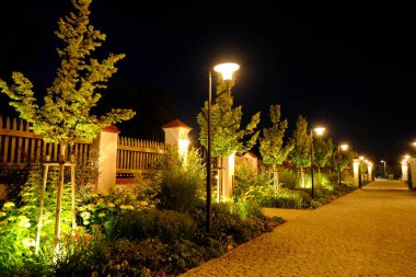 Fenerli ve çiçekli gece parkı