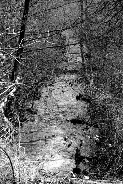 Ukrayna 'nın siyah-beyaz fotoğrafı Doğu Avrupa' da bir ülkedir.