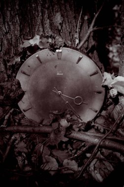 Ormandaki eski metal saat.