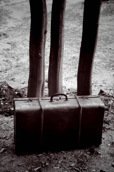 Tuğla duvarın arka planında siyah saplı tahta kutu.