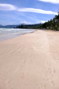 Palawan, cennet gibi tropikal manzaraları ve el değmemiş plajlarıyla Filipinler 'in gerçek bir mücevheri.