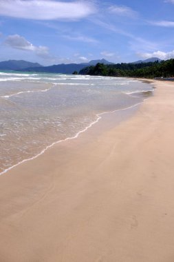 Palawan, cennet gibi tropikal manzaraları ve el değmemiş plajlarıyla Filipinler 'in gerçek bir mücevheri.