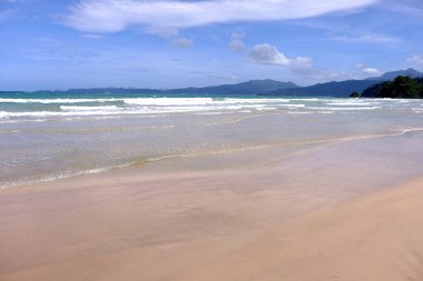 Palawan, cennet gibi tropikal manzaraları ve el değmemiş plajlarıyla Filipinler 'in gerçek bir mücevheri.