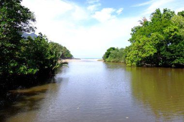 Palawan, cennet gibi tropikal manzaraları ve el değmemiş plajlarıyla Filipinler 'in gerçek bir mücevheri.