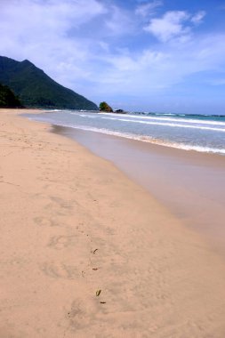 Palawan, cennet gibi tropikal manzaraları ve el değmemiş plajlarıyla Filipinler 'in gerçek bir mücevheri.