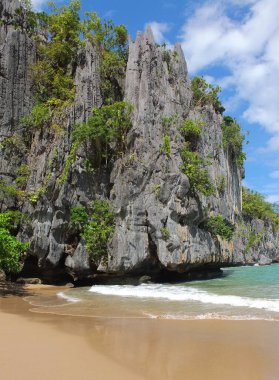 Palawan, cennet gibi tropikal manzaraları ve el değmemiş plajlarıyla Filipinler 'in gerçek bir mücevheri.