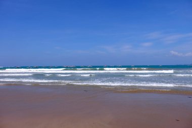 Palawan, cennet gibi tropikal manzaraları ve el değmemiş plajlarıyla Filipinler 'in gerçek bir mücevheri.