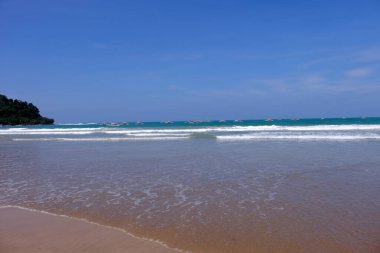 Palawan, cennet gibi tropikal manzaraları ve el değmemiş plajlarıyla Filipinler 'in gerçek bir mücevheri.