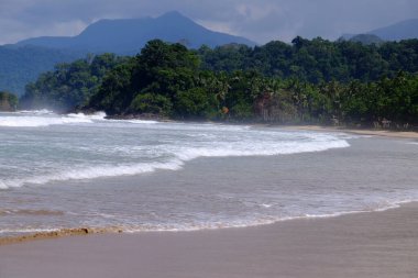 Palawan, cennet gibi tropikal manzaraları ve el değmemiş plajlarıyla Filipinler 'in gerçek bir mücevheri.