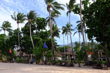 Palawan, cennet gibi tropikal manzaraları ve el değmemiş plajlarıyla Filipinler 'in gerçek bir mücevheri.