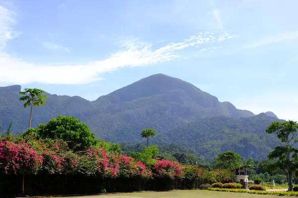 Palawan, cennet gibi tropikal manzaraları ve el değmemiş plajlarıyla Filipinler 'in gerçek bir mücevheri.
