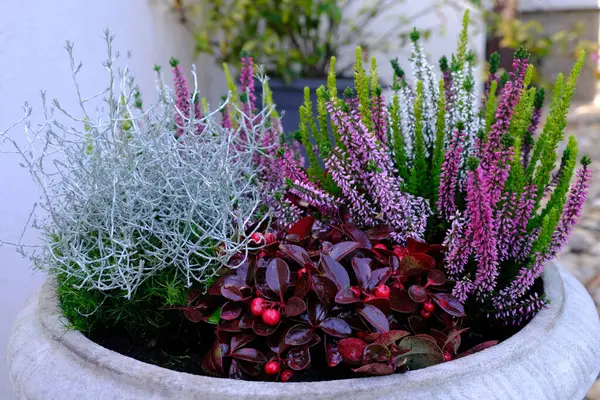 Beyaz bir duvarda renkli çiçekler