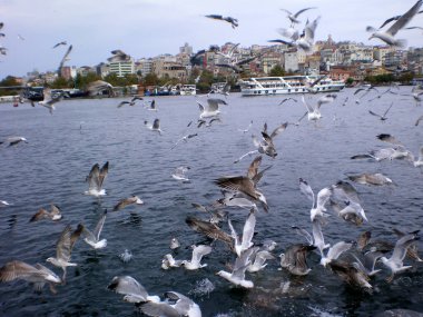 İstanbul kenti Türkiye seyahat geçmişi