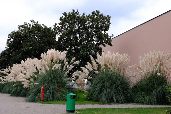 Evin güzel bahçesi.