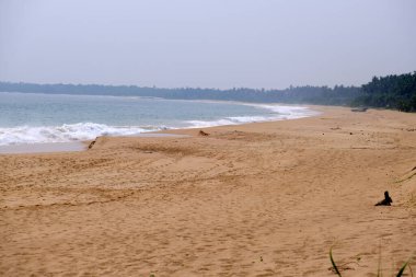 Sri Lanka Seylan Theravada Budizm Doğa tecrübesi Hint Okyanusu 'na kurulmuş gözyaşı damlası şeklindeki adayı deneyimliyor.