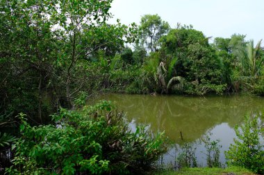 Sri Lanka Seylan Theravada Budizm Doğa tecrübesi Hint Okyanusu 'na kurulmuş gözyaşı damlası şeklindeki adayı deneyimliyor.