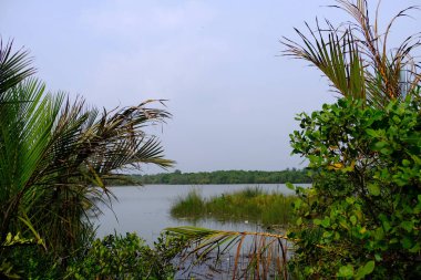 Sri Lanka Seylan Theravada Budizm Doğa tecrübesi Hint Okyanusu 'na kurulmuş gözyaşı damlası şeklindeki adayı deneyimliyor.