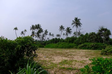 Sri Lanka Seylan Theravada Budizm Doğa tecrübesi Hint Okyanusu 'na kurulmuş gözyaşı damlası şeklindeki adayı deneyimliyor.