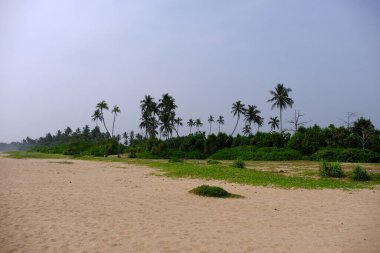 Sri Lanka Seylan Theravada Budizm Doğa tecrübesi Hint Okyanusu 'na kurulmuş gözyaşı damlası şeklindeki adayı deneyimliyor.