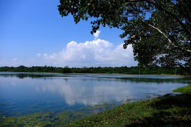 Sri Lanka Seylan Theravada Budizm Doğa tecrübesi Hint Okyanusu 'na kurulmuş gözyaşı damlası şeklindeki adayı deneyimliyor.
