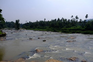 Sri Lanka Seylan Theravada Budizm Doğa tecrübesi Hint Okyanusu 'na kurulmuş gözyaşı damlası şeklindeki adayı deneyimliyor.