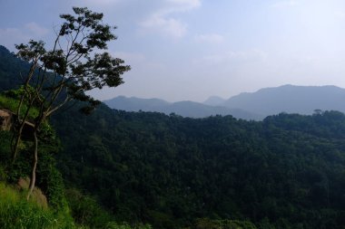 Sri Lanka Seylan Theravada Budizm Doğa tecrübesi Hint Okyanusu 'na kurulmuş gözyaşı damlası şeklindeki adayı deneyimliyor.