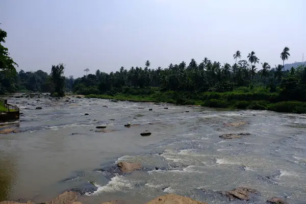 Sri Lanka Seylan Theravada Budizm Doğa tecrübesi Hint Okyanusu 'na kurulmuş gözyaşı damlası şeklindeki adayı deneyimliyor.