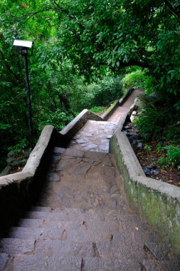 Sri Lanka Seylan Theravada Budizm Doğa tecrübesi Hint Okyanusu 'na kurulmuş gözyaşı damlası şeklindeki adayı deneyimliyor.