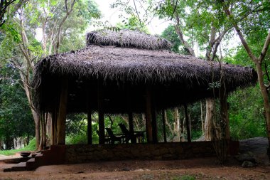 Sri Lanka Seylan Theravada Budizm Doğa tecrübesi Hint Okyanusu 'na kurulmuş gözyaşı damlası şeklindeki adayı deneyimliyor.