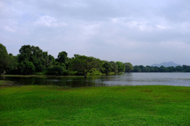 Sri Lanka Seylan Theravada Budizm Doğa tecrübesi Hint Okyanusu 'na kurulmuş gözyaşı damlası şeklindeki adayı deneyimliyor.