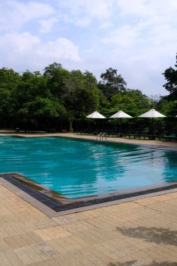 Sri Lanka Seylan Theravada Budizm Doğa tecrübesi Hint Okyanusu 'na kurulmuş gözyaşı damlası şeklindeki adayı deneyimliyor.