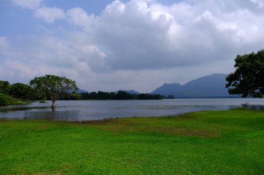 Sri Lanka Seylan Theravada Budizm Doğa tecrübesi Hint Okyanusu 'na kurulmuş gözyaşı damlası şeklindeki adayı deneyimliyor.