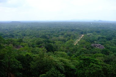 Sri Lanka Seylan Theravada Budizm Doğa tecrübesi Hint Okyanusu 'na kurulmuş gözyaşı damlası şeklindeki adayı deneyimliyor.