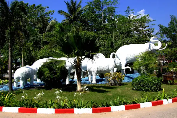 Tayland 'da beyaz fil