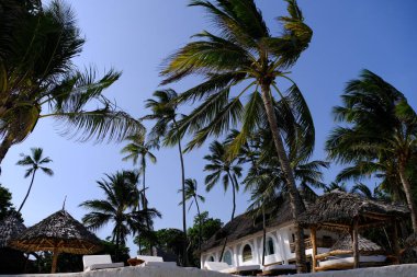 Güzel deniz manzarası