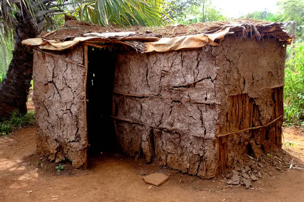 Ormandaki köyün evi.