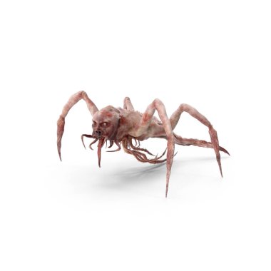 Eşsiz Şenlik Temaları, Ürkütücü Tasarımlar, Balkabağı Dekorasyonları, Kostümler İçin 3 Boyutlu Yüksek Kaliteli Cadılar Bayramı Resimleri