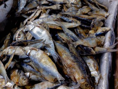 Geleneksel bir pazarda kutularda sergilenen kurutulmuş tuzlu balık.