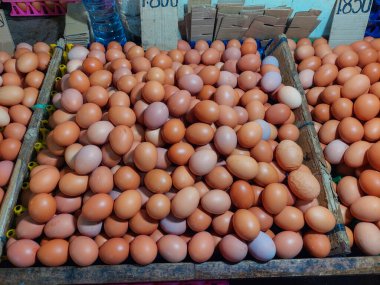 Çiftçilik, toplanma, bakkaliye, grup, hasat, yatay, kapalı alan, insan yok, dışarıda, paket, fotoğrafçılık, üretim, üretim, üretim, koruma, yuvarlak, depolama, varyasyon, vitamin, sağlık, yığın, pazar, gıda, beslenme, beslenme, beslenme, kümes hayvanları, koruma