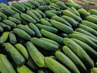 Arka plan için taze salatalık koleksiyonunu kapat.