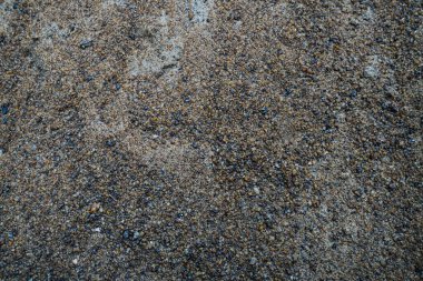 Kentsel Soyut, Yıpranmış ve Yosun Beton Duvar Yapısı