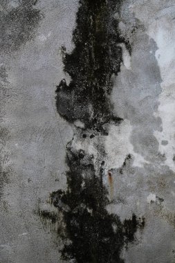 Kentsel Soyut, Yıpranmış ve Yosun Beton Duvar Yapısı