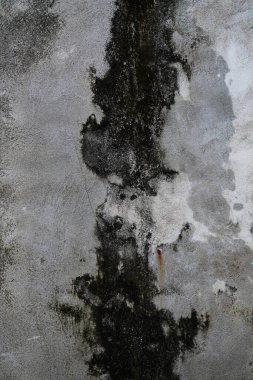 Kentsel Soyut, Yıpranmış ve Yosun Beton Duvar Yapısı