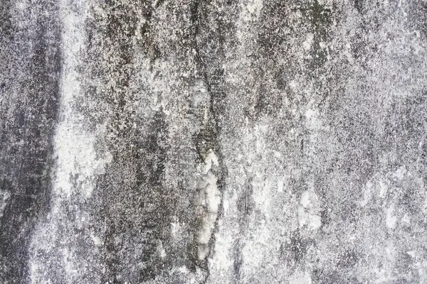 Kentsel Soyut, Yıpranmış ve Yosun Beton Duvar Yapısı