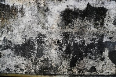 Kentsel Soyut, Yıpranmış ve Yosun Beton Duvar Yapısı